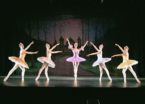 Sleeping Beauty-Copyright Vienna Festival Ballet.