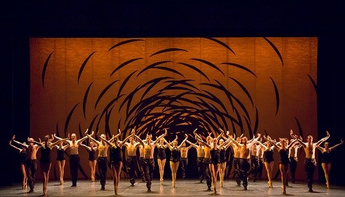 Scottish Ballet Company in Emergence by Crystal Pite. Photo by Andy Ross.